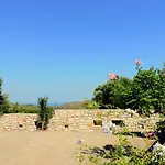 Island Retreat