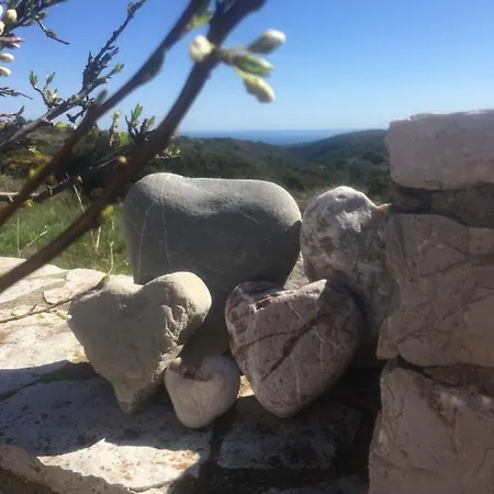 Island Retreat Feriehus *