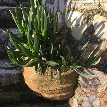 Island Retreat Kýthira
