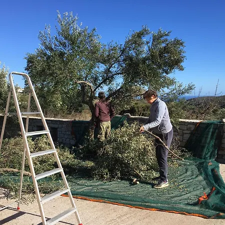 Feriehus Island Retreat *