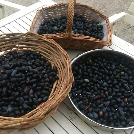Feriehus Island Retreat Kýthira