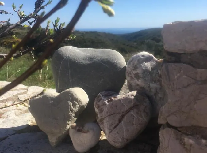 Island Retreat בית נופש *